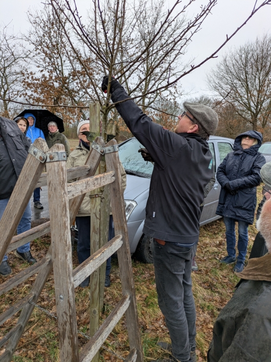 landfrauen-auetal-2026-obstbaumschnitt-praxis