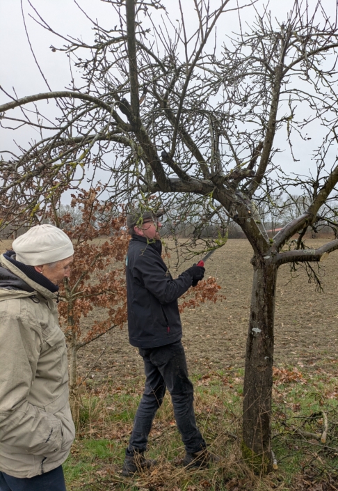 landfrauen-auetal-2026-obstbaumschnitt-praxis1