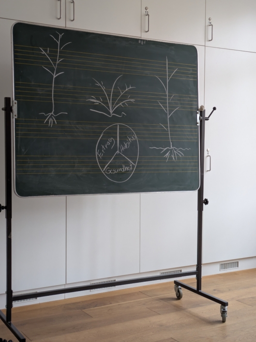 landfrauen-auetal-obstbaumschnitt-theorie1