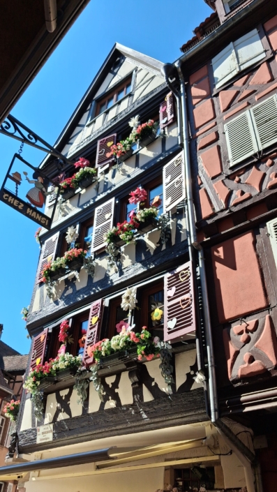 landfrauen-auetal-2026-schwarzwald-elsass