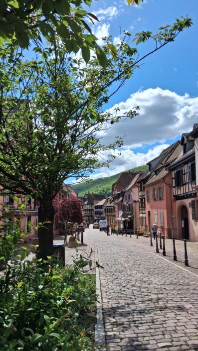 landfrauen-auetal-2026-schwarzwald-elsass2